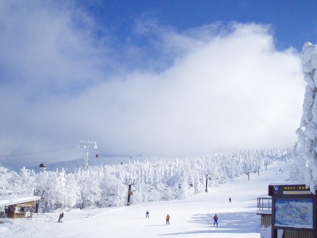 n05.jpg