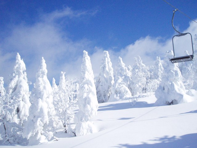 n06.jpg