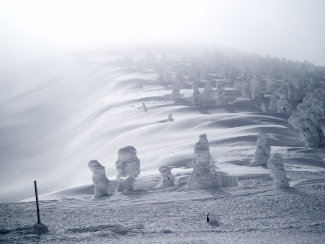 n11.jpg