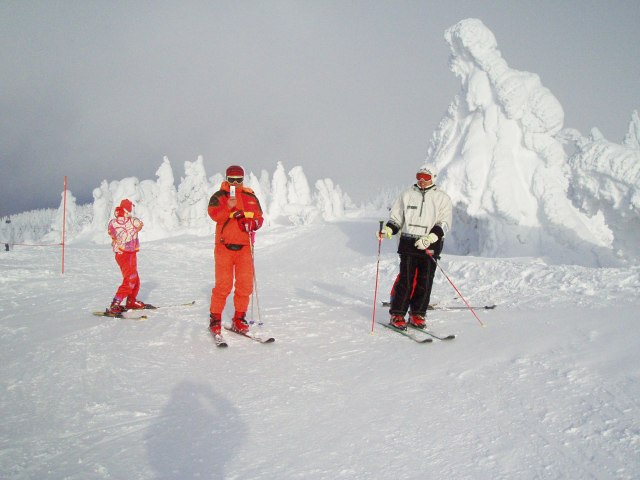n13.jpg