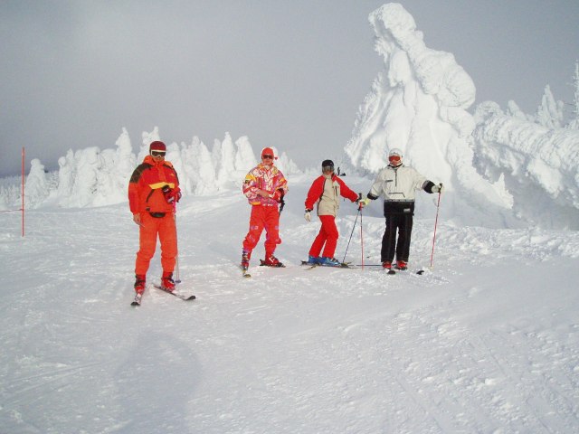 n14.jpg