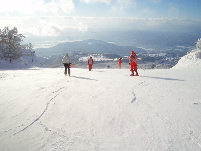 n15.jpg