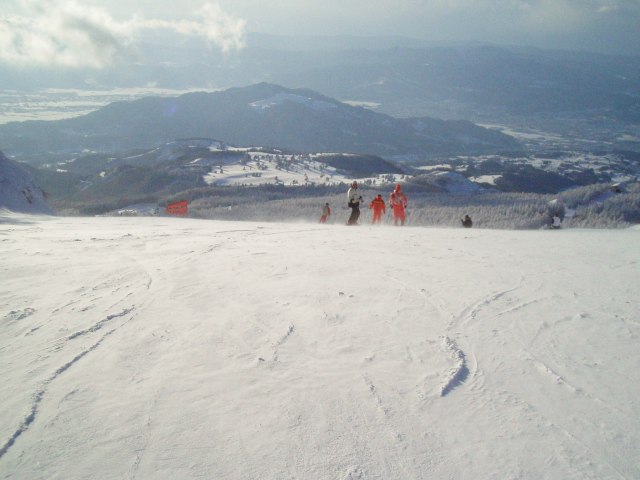 n16.jpg