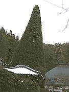fire029_thumb.png