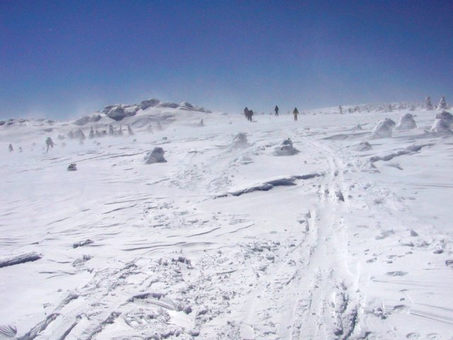 n06.jpg