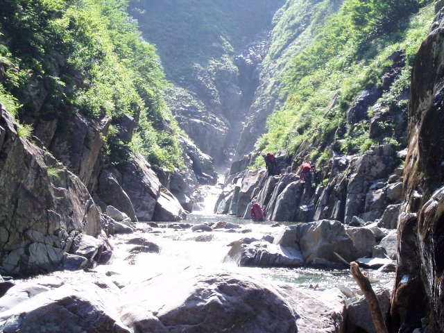 n12.jpg