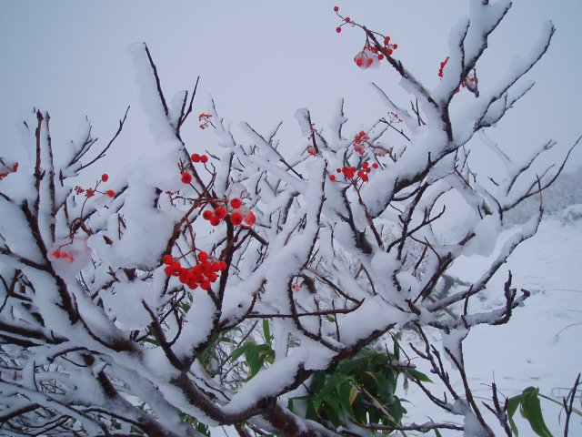 n13.jpg