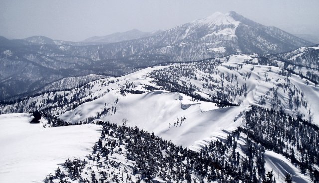 n15.jpg
