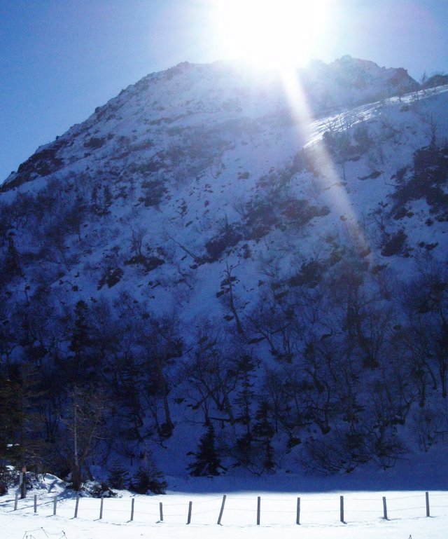 n22.jpg