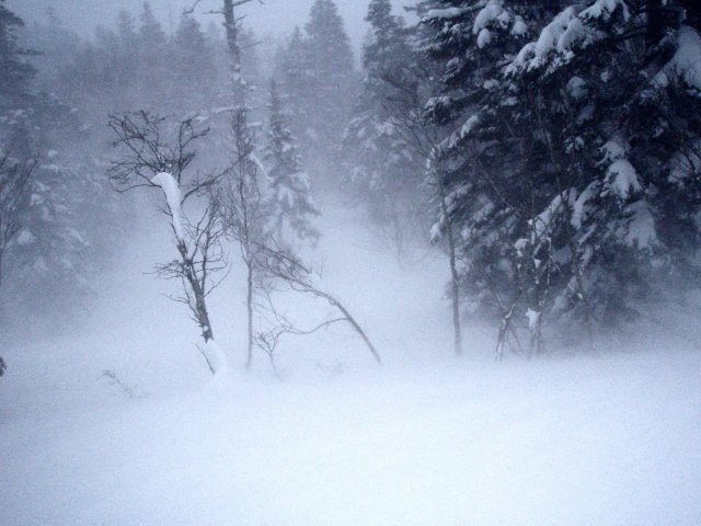 n23.jpg