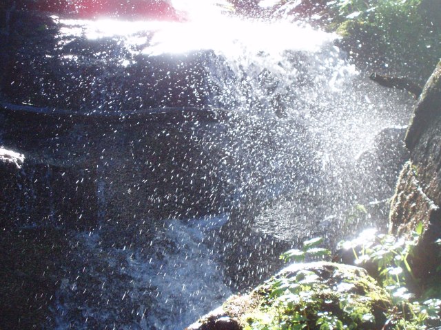 n29.jpg