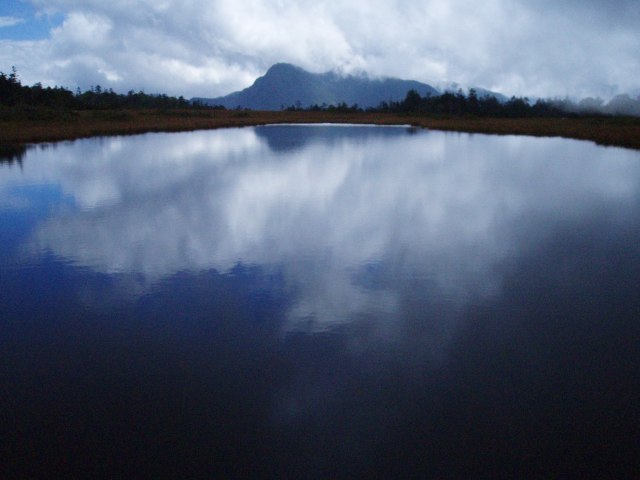 n30.jpg