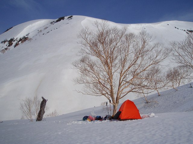 n38.jpg