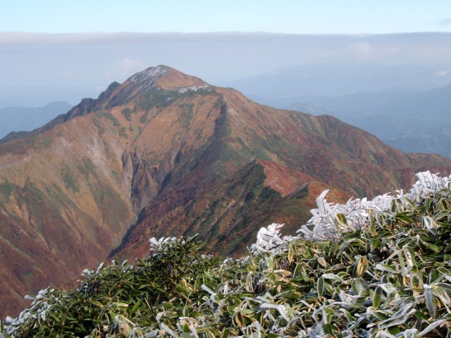 n44.jpg