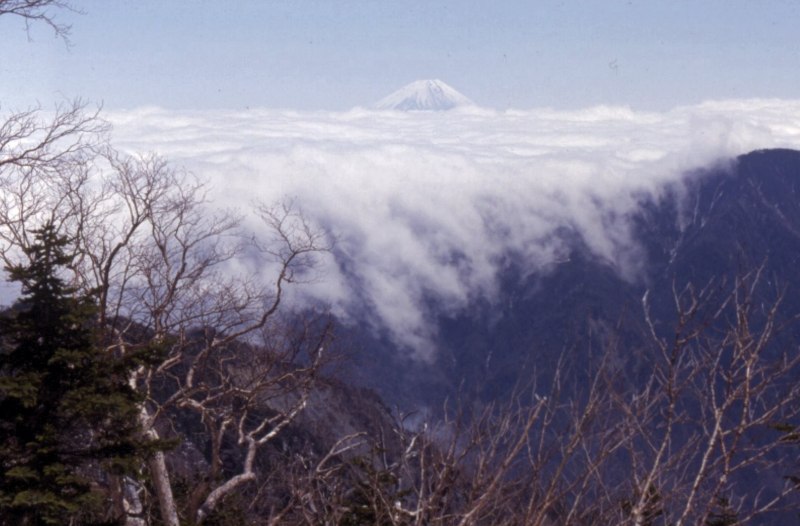 a02.jpg