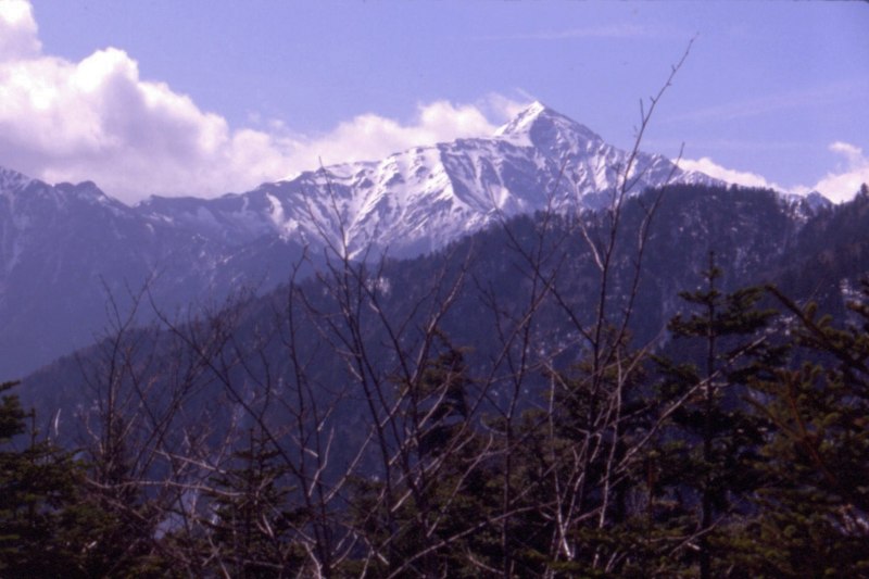 a02.jpg
