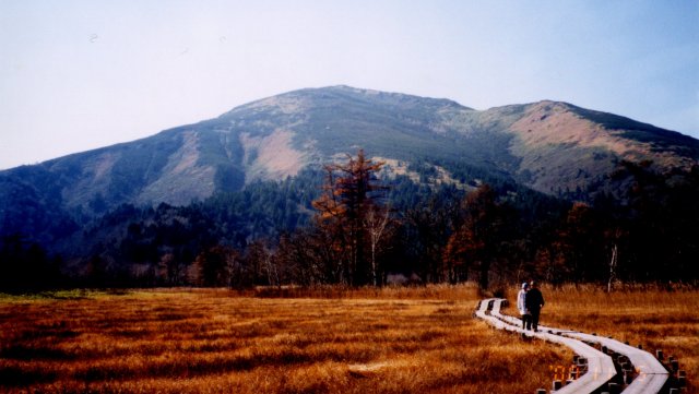 o01.jpg