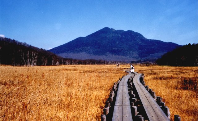 o02.jpg