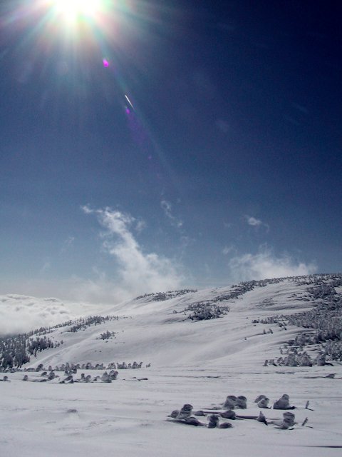 n01.jpg