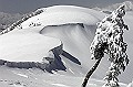 cover-photo