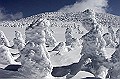 cover-photo