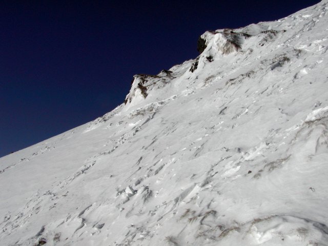 n05.jpg