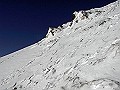 cover-photo