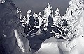 cover-photo