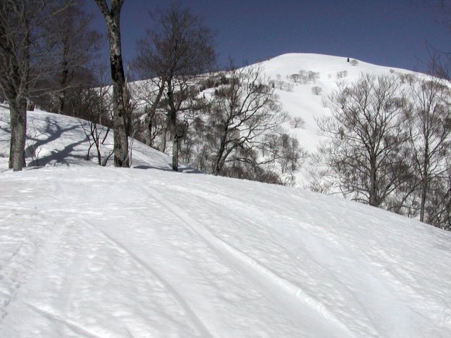 D:\kd2\html\mount_040923\ski\050410ooto\P4100087.jpg