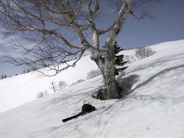 D:\kd2\html\mount_040923\ski\050410ooto\P4100097.jpg