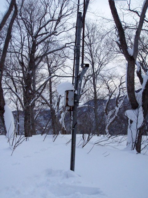 Aei